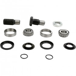 KIT ROLAMENTOS / CASQUILHOS ESCORA PIVOT WORKS - KAWASAKI KFX 700